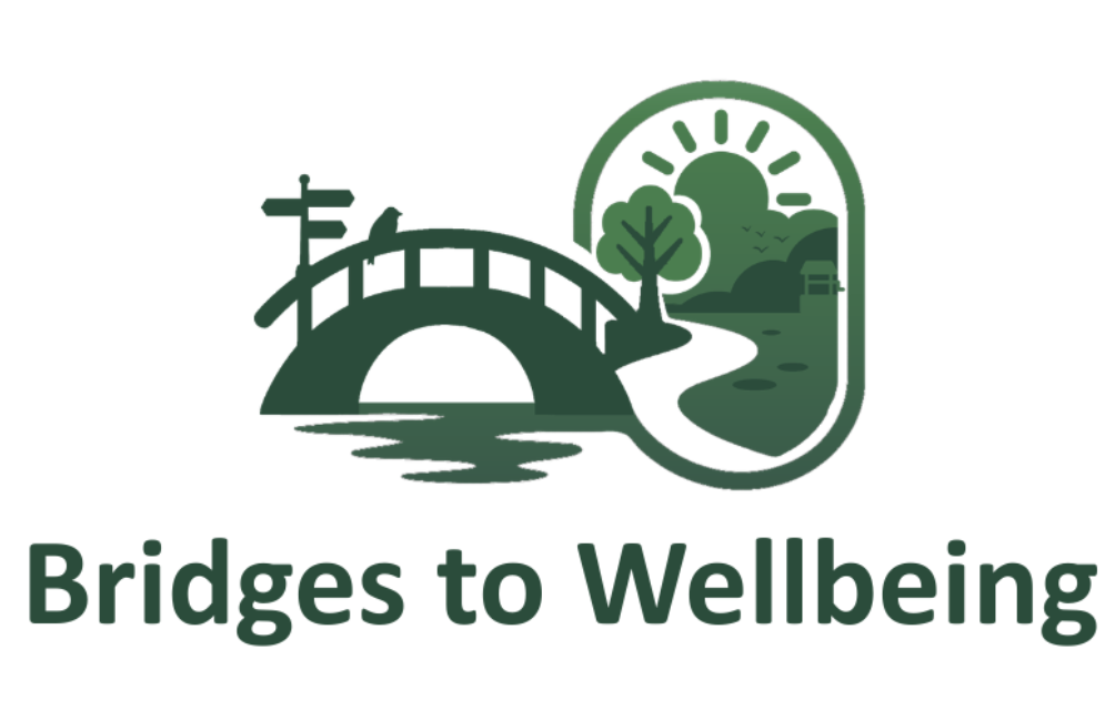 Bridges to Wellbeing - Financial Resilience Advice & Support 
