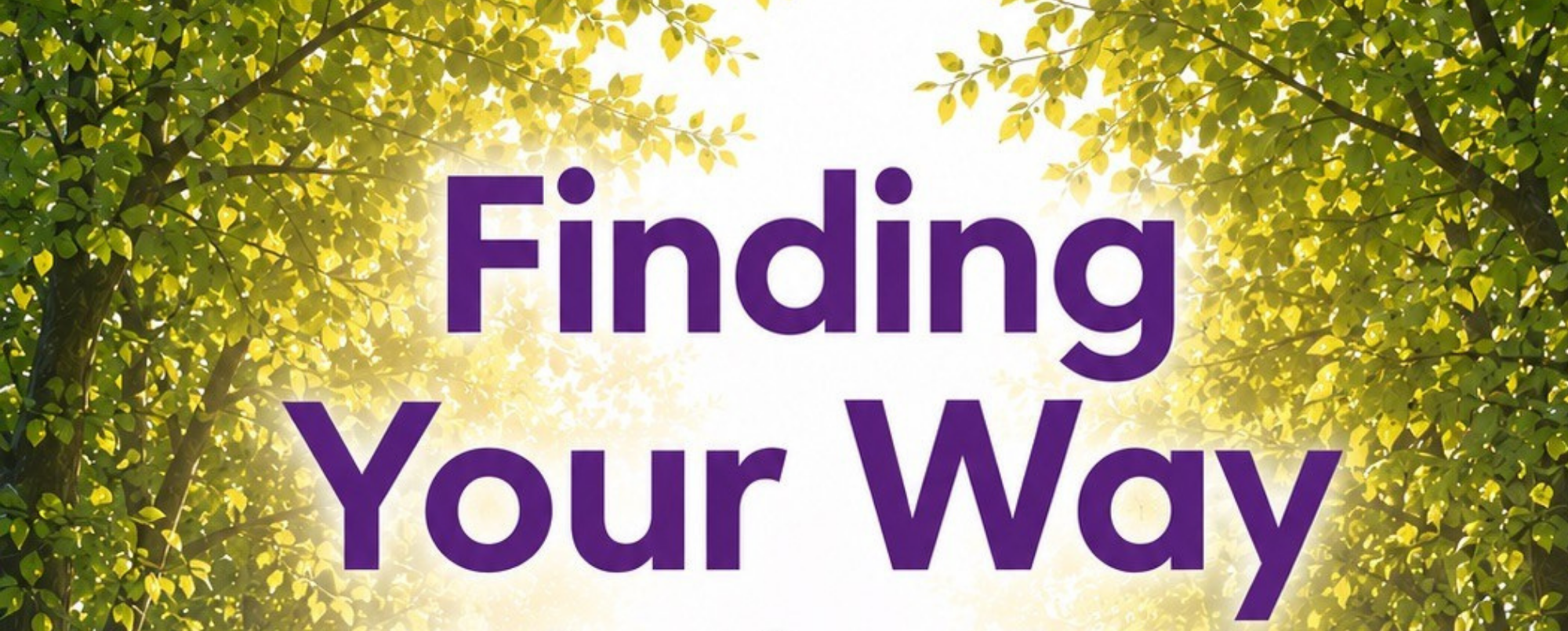 Somerset Parent Carer Forum - Finding Your Way Support Groups